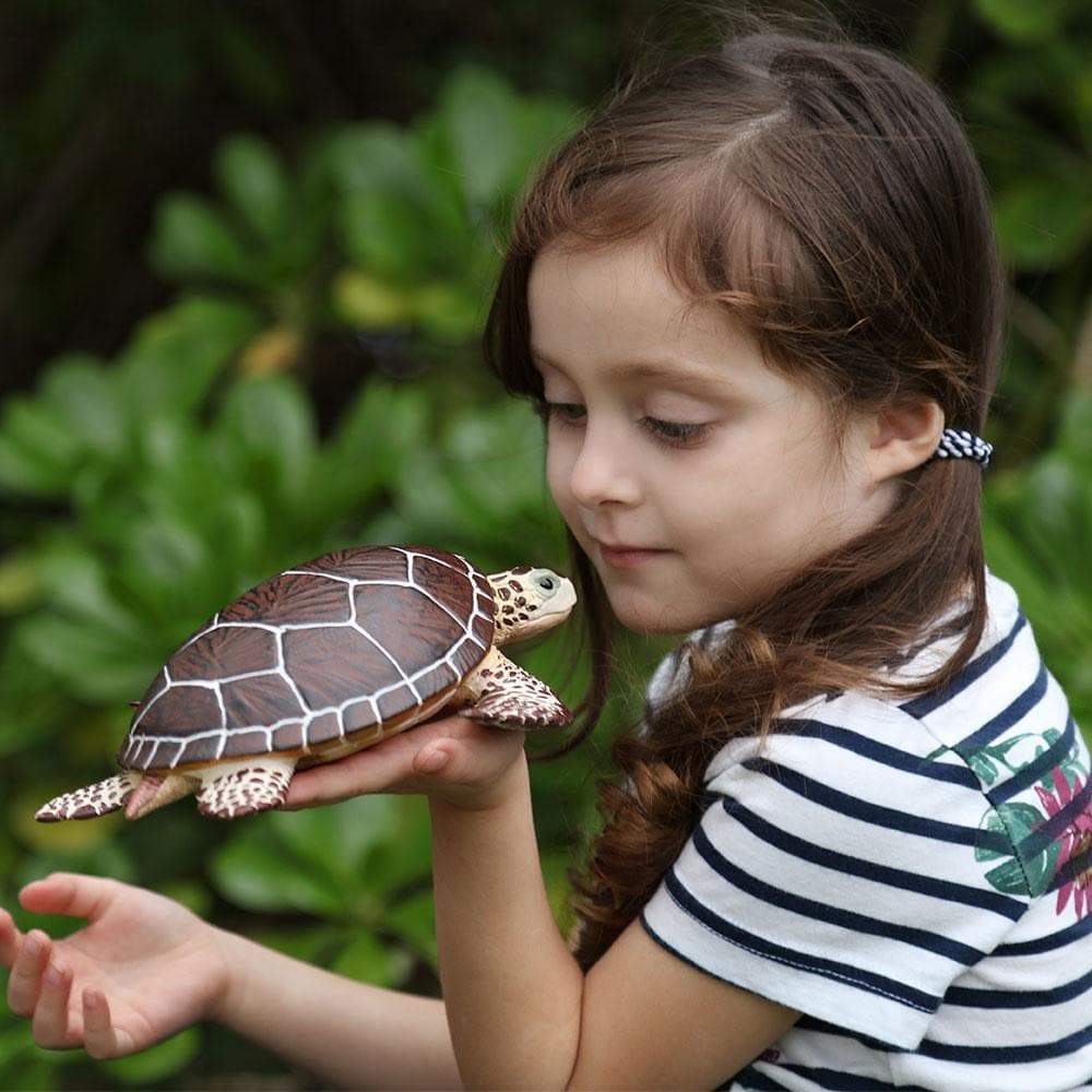 Sea Turtle Toy